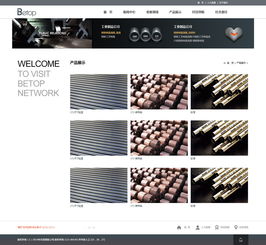 工業(yè)制品網(wǎng)站建設新標桿 奔唐網(wǎng)絡天津網(wǎng)站建設案例解析